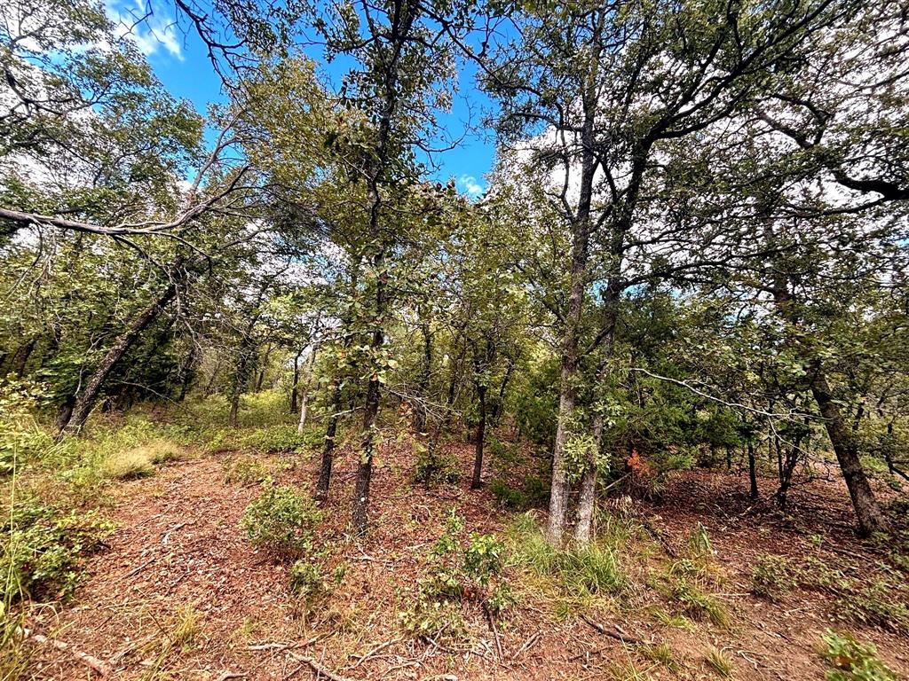 Bonita Oaks Ranch Sub - Land