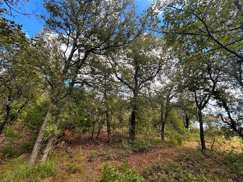 Bonita Oaks Ranch Sub - Land