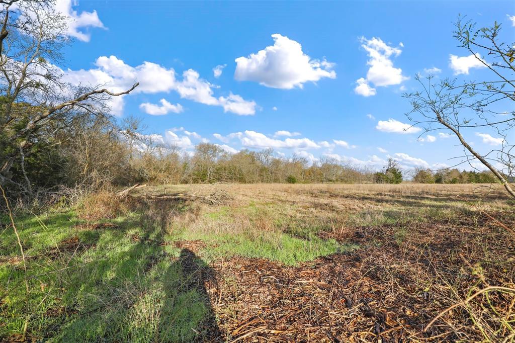 TBD Lot 8 County Road 669