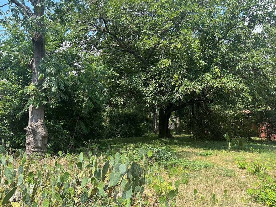Residential lot in N. Oak Cliff, situated minutes away from Downtown Dallas, Bishop Arts, Dallas Methodist Hospital, schools, shopping, entertainment & restaurants.  Great opportunity to build your new home or investment property!