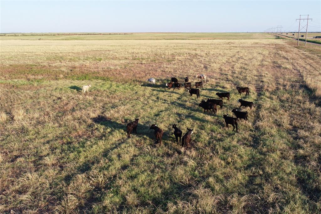 11000 County Road 110 W