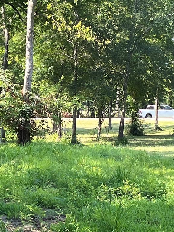 Cedar Creek Landing - Land