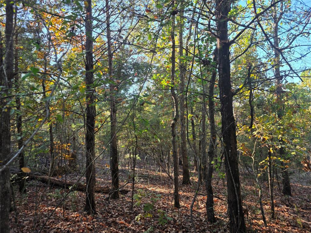 Safari Waters Ranch - Land