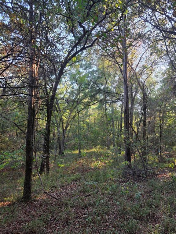 Safari Waters Ranch - Land