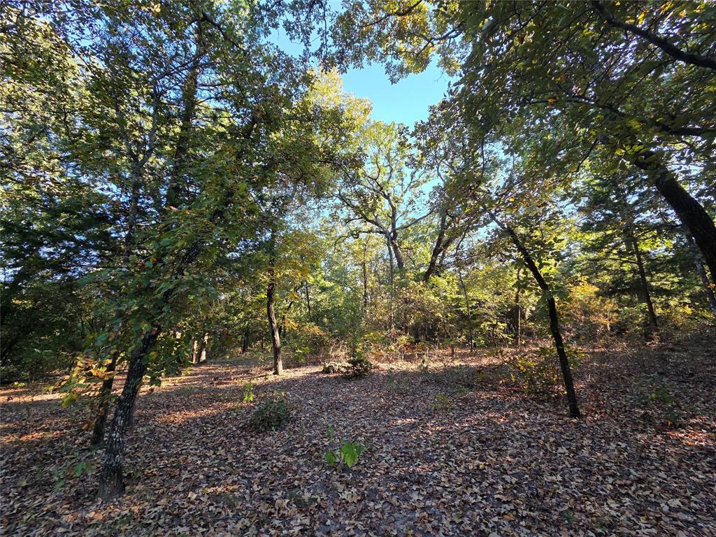 Safari Waters Ranch - Land