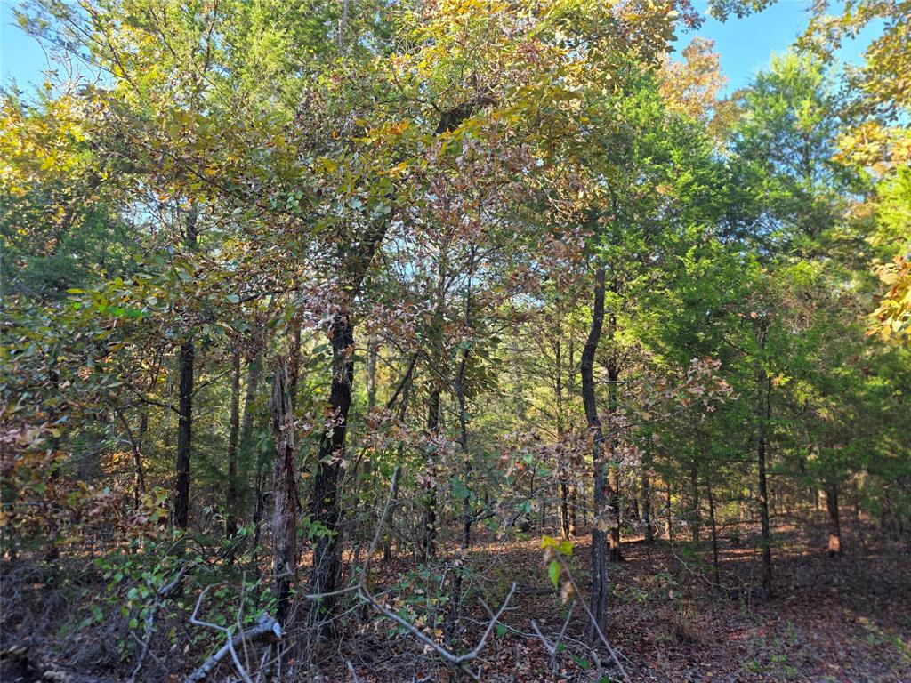 Safari Waters Ranch - Land