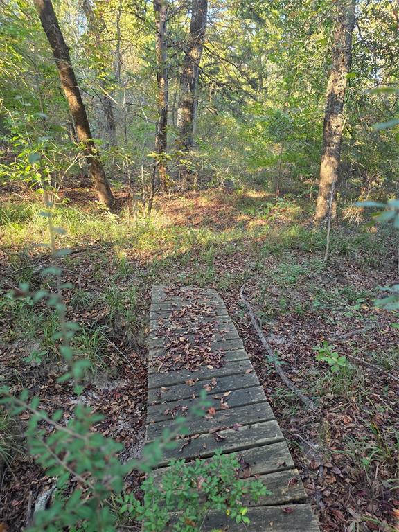 Safari Waters Ranch - Land