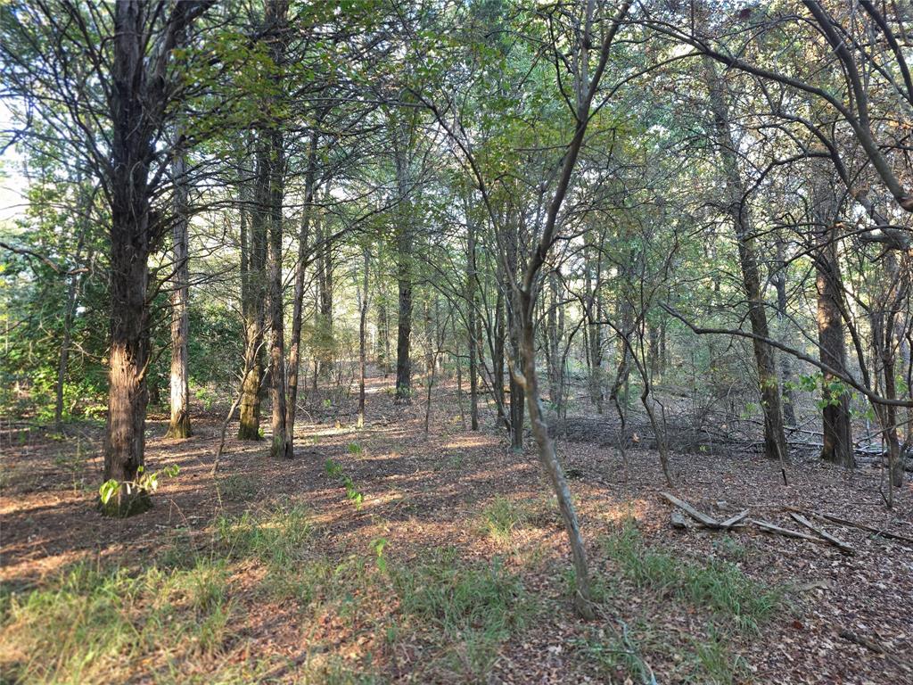 Safari Waters Ranch - Land