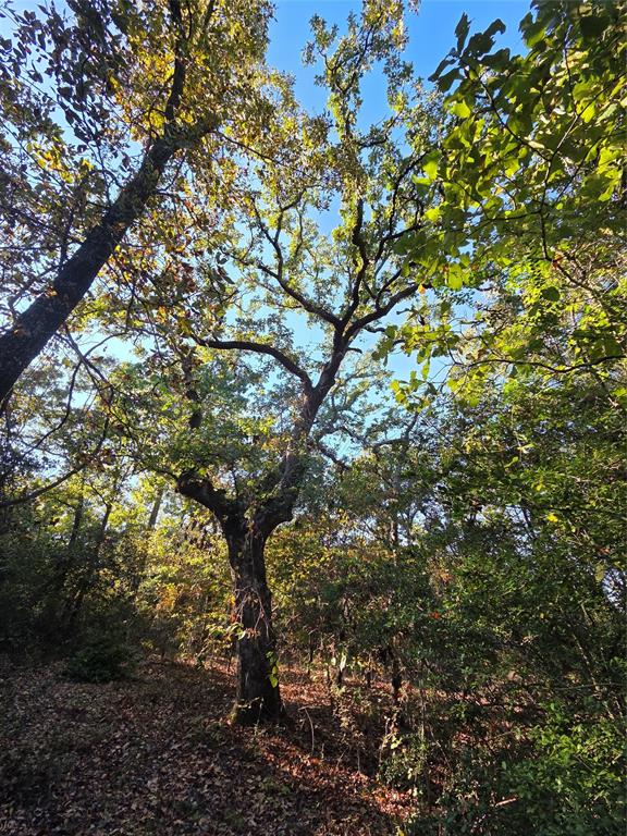 Safari Waters Ranch - Land