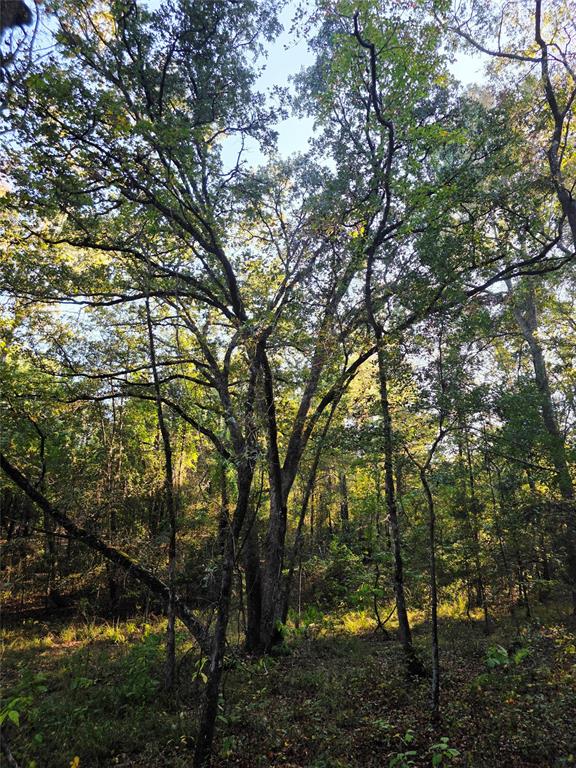 Safari Waters Ranch - Land