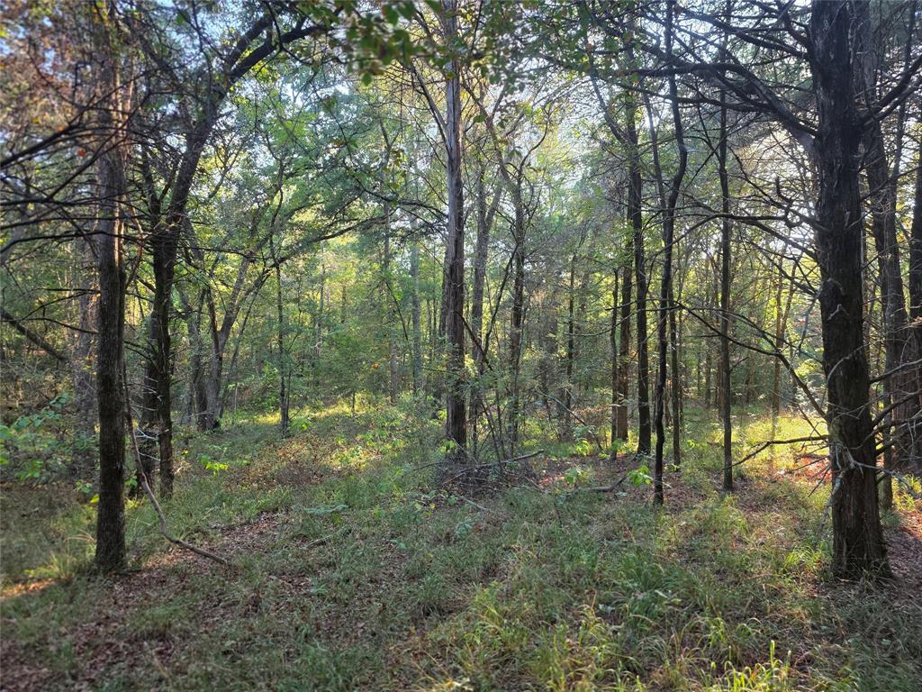 Safari Waters Ranch - Land