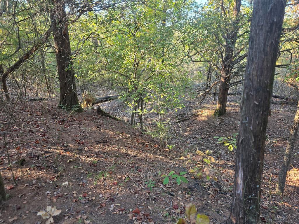 Safari Waters Ranch - Land