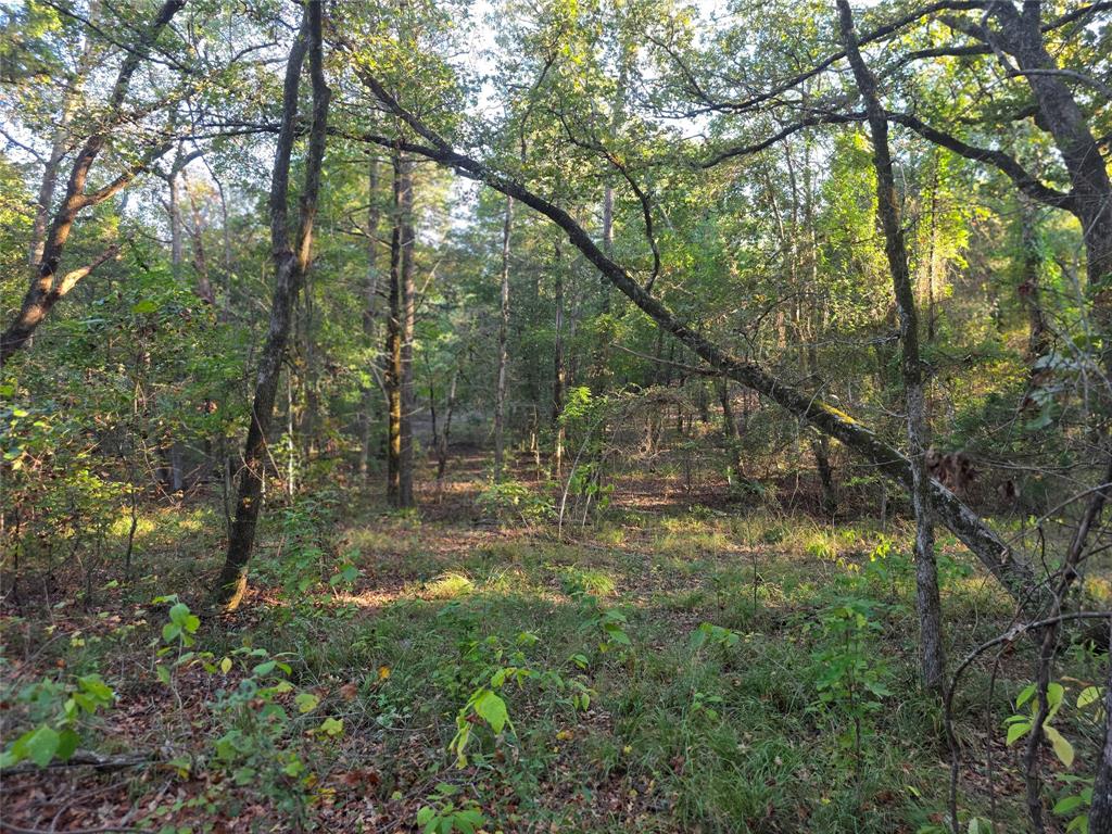 Safari Waters Ranch - Land