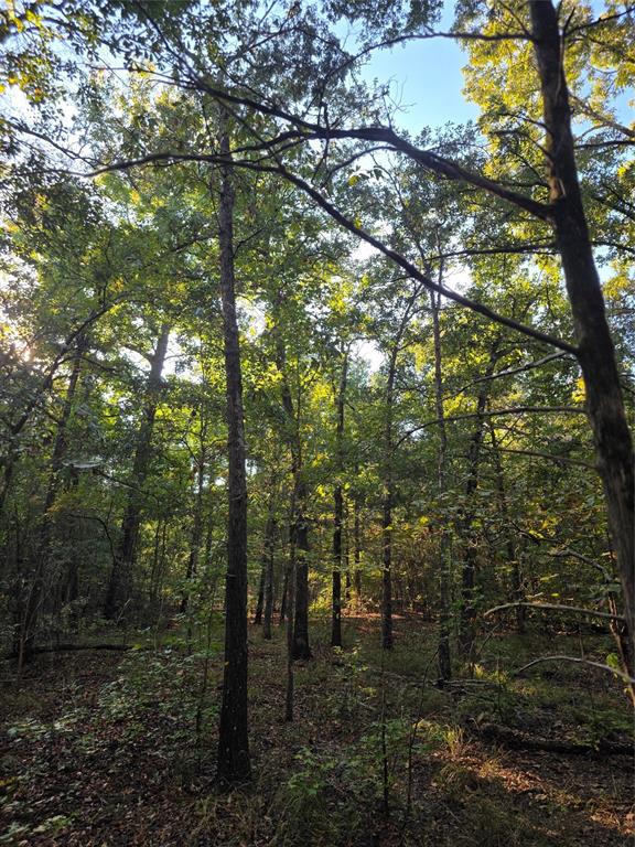 Safari Waters Ranch - Land