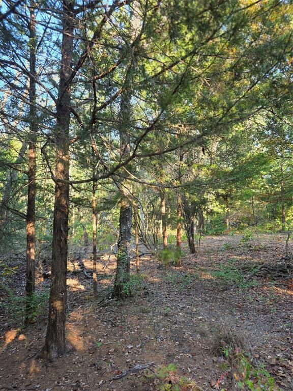 Safari Waters Ranch - Land