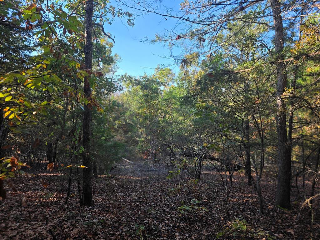 Safari Waters Ranch - Land