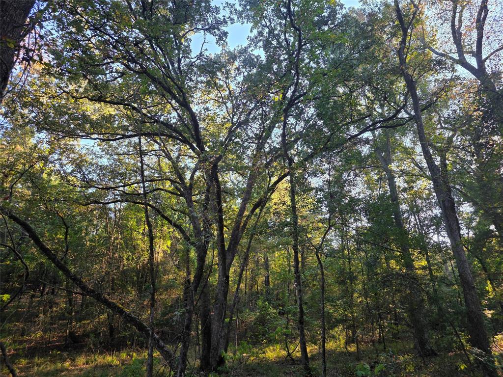 Safari Waters Ranch - Land