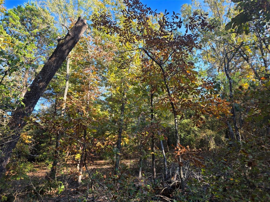 Safari Waters Ranch - Land