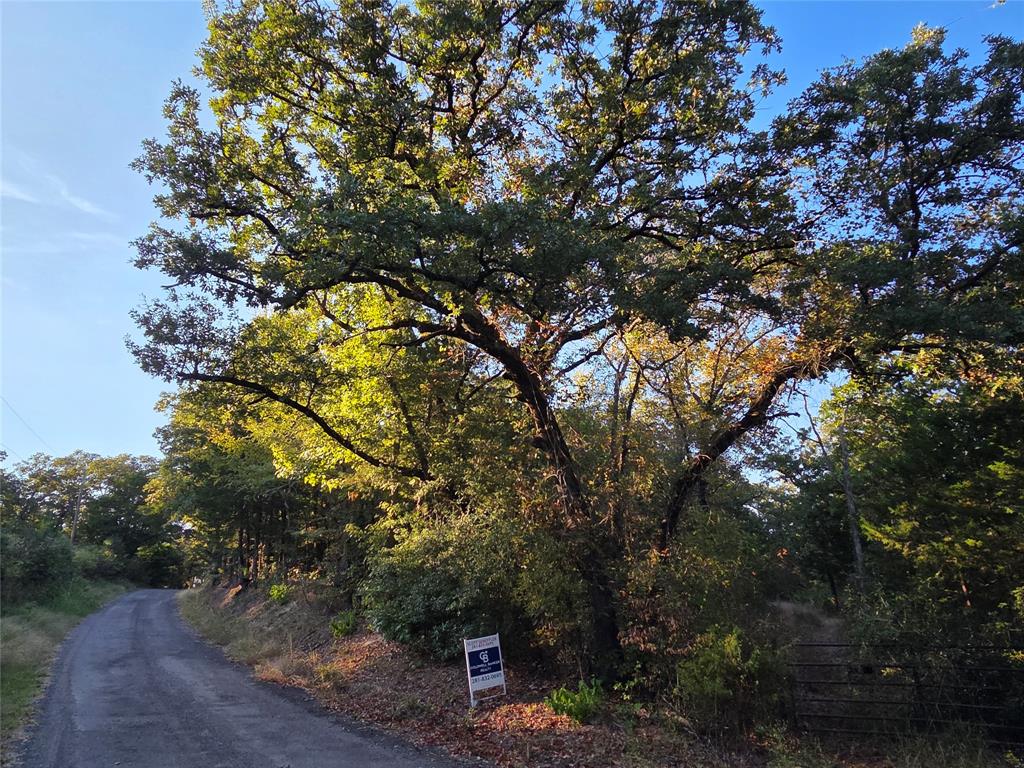 Safari Waters Ranch - Land