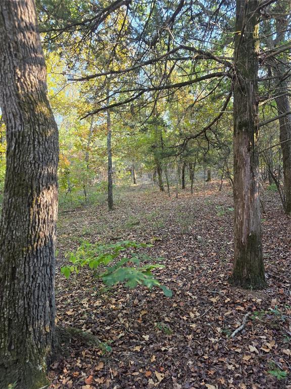 Safari Waters Ranch - Land