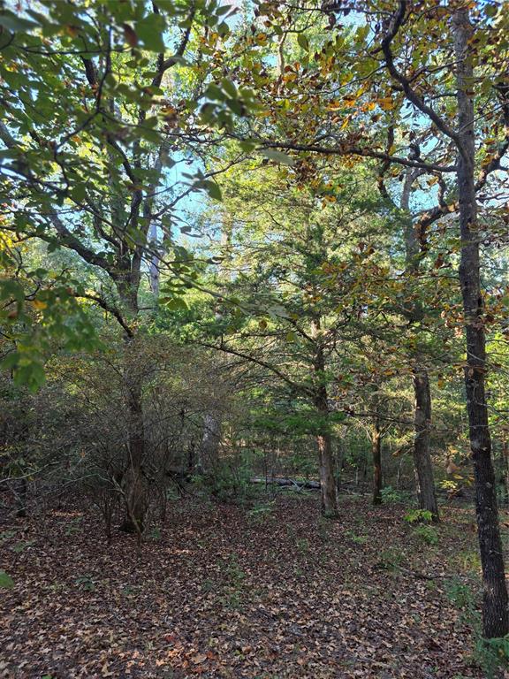 Safari Waters Ranch - Land