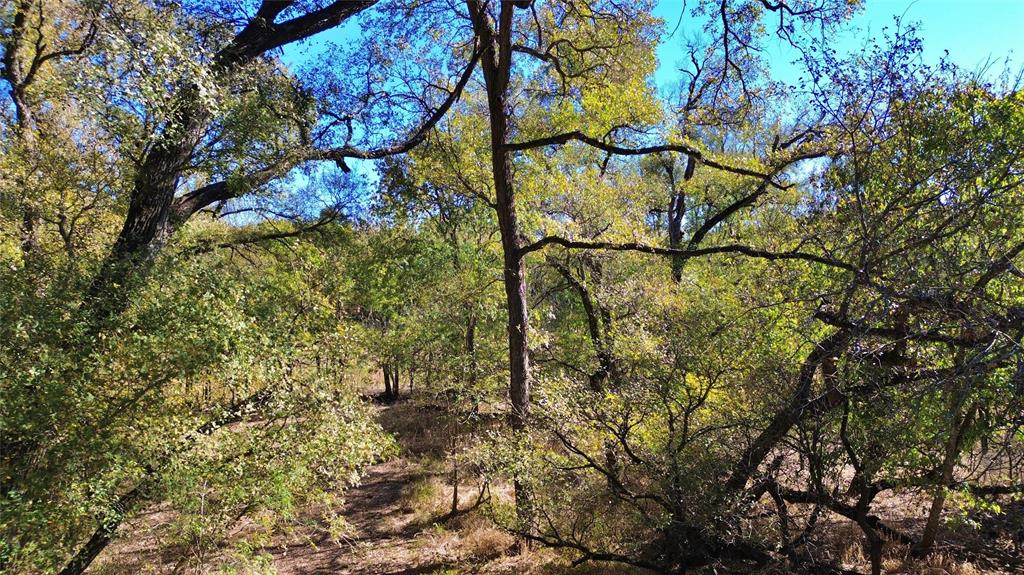 000 Bee Creek Road
