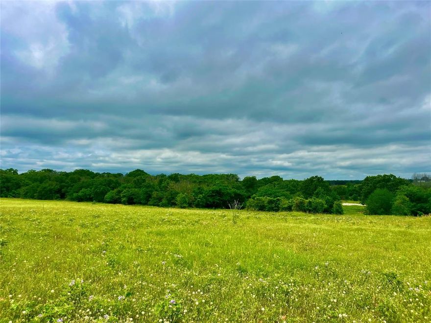 You do not want to miss this opportunity! One of the newest communities is here! Welcome to Sarra Ranch Estates. Sarra Ranch is a 2-4 Acre Tract Community with beautiful views of the countryside seen from the rolling terrain throughout the area with plenty of large mature oak trees that give boldness to each lot they are on. Sarra Ranch is near the New Ric Williamson Loop giving you a convenient drive to the Metroplex. Sarra Ranch provides Underground Electrical Lines and High Speed Fiber Optic Internet for your new Home and Shop if you need one with Common Sense Community Guidelines to maintain the luxuriousness and beauty of the community. Ask for one of our Handpicked Builders or bring your own and build whenever you are ready. Call us and schedule a private tour today!