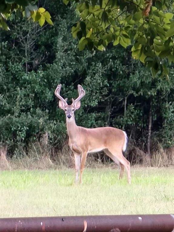 High Point Ranch Sec 2 - Residential