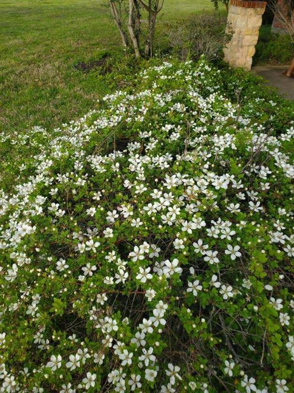 High Point Ranch Sec 2 - Residential