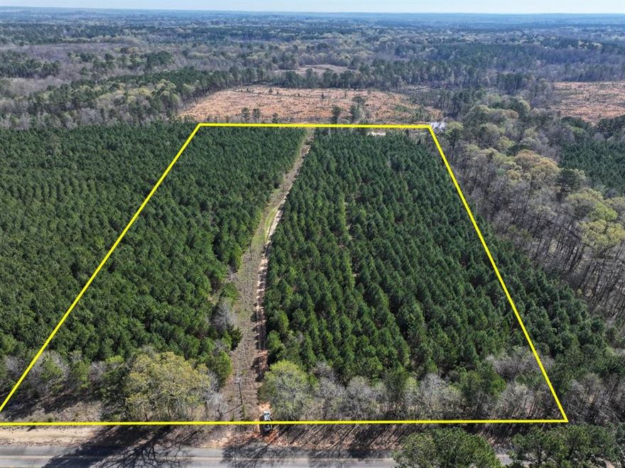 This first time open market offering is situated in the quiet village of Rodessa, Caddo Parish, Louisiana. Historically managed timber tracts currently planted in varying ages of pre-merchantable pine plantations (2014-2016). Attractive size and shaped tracts offer high recreational residential value and privacy. Tracts vary in size from 8 to 81 acres. Easily accessed from low traffic blacktop roads. Good topography and drainage. Located close to the borders of Texas, Louisiana and Arkansas. Electricity available along United Gas Road 1 and Rodessa State Line Road (LA 168 CR 4561).