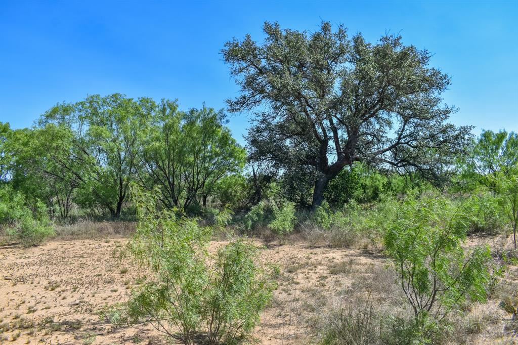 20 Acres E. FM 765