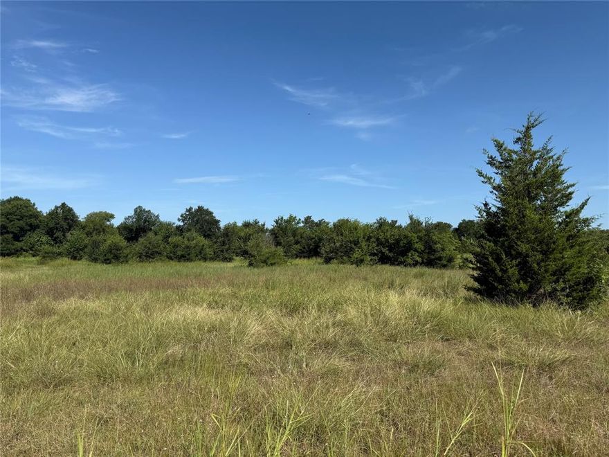 Come see this beautiful 11 acre tract in the quiet and peaceful country side of Leonard! Located only 30 minutes' drive from McKinney, Greenville, and Sherman this property is ready for your forever home to be built! Only restriction is no manufactured homes. New survey will be ordered with acceptable offer.