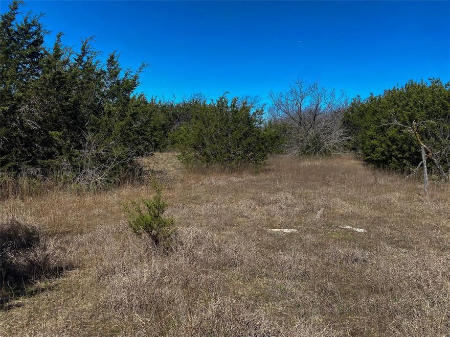 Prime Location!!! Corner Acreage at Chisholm Trail Parkway and Don Lee Road, between Joshua and Cleburne!! 8 Acres with Over 650 feet of CTP frontage, giving this property ample visibility for advertising and signage along CTP. Don Lee Road has around 300 feet of road frontage including a 6 inch water line and fire hydrants already in place. The corner 1.5 acre is inside city limits of Burleson. But, the rest of the acreage is all Outside City Limits. Bring Your Development Ideas! Don't miss out on this opportunity!