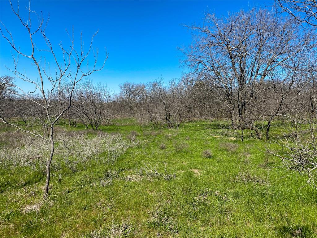 Freedom Estates - Land