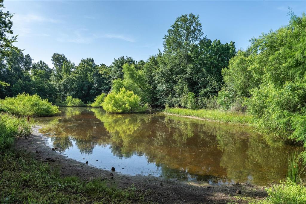 S Wolfe Surv Abs #936 - Residential