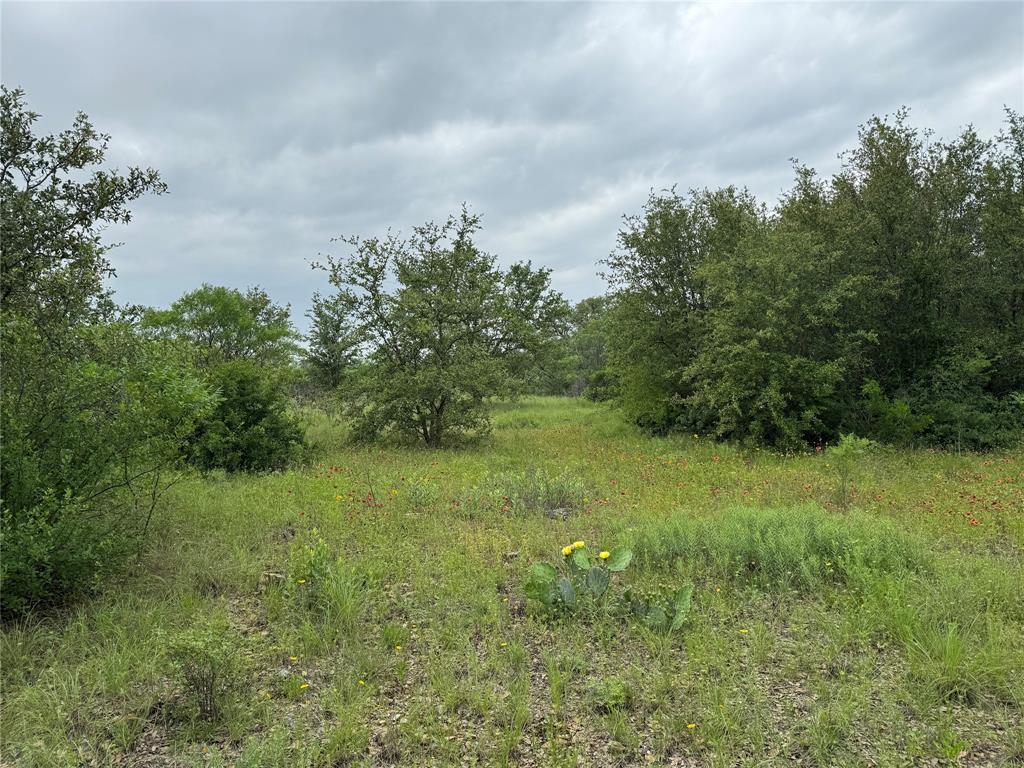 Lot 294 Shooting Star Court