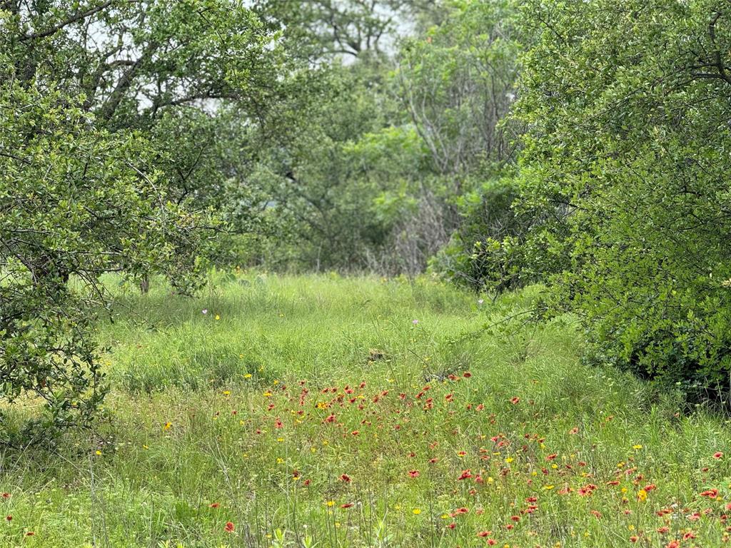 Lot 294 Shooting Star Court