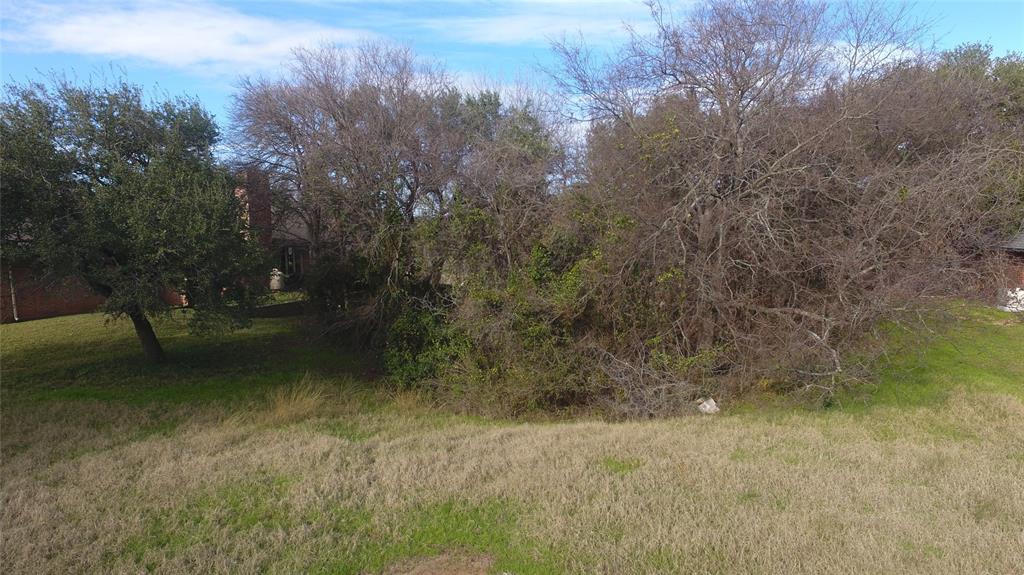 Pecan Plantation - Land