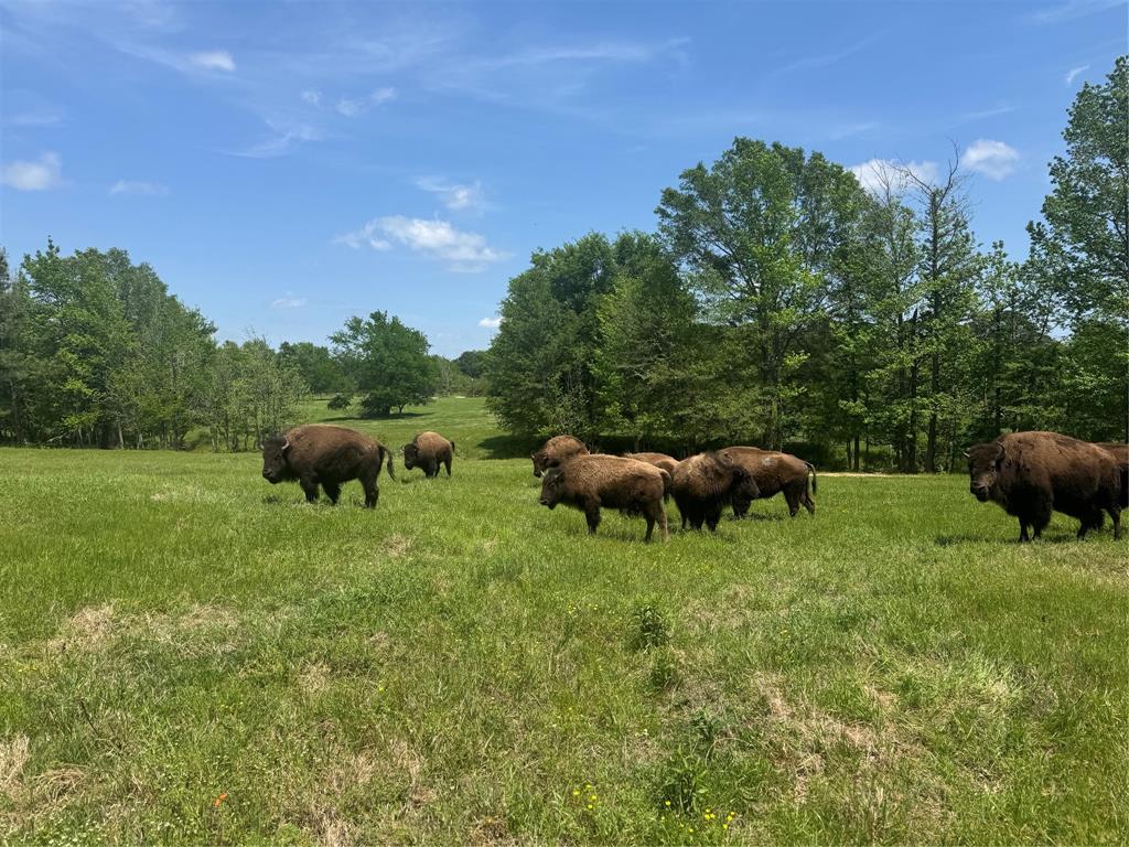 HARRISON COUNTY SC HOOL LAND,TRACT 1 - Farm