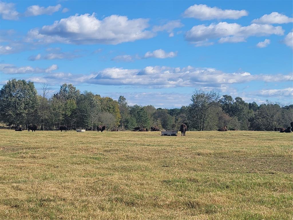 HARRISON COUNTY SC HOOL LAND,TRACT 1 - Farm