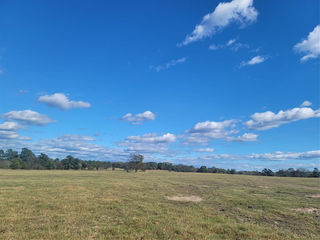 HARRISON COUNTY SC HOOL LAND,TRACT 1 - Farm