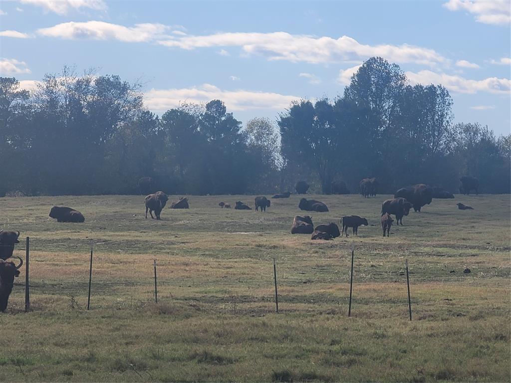 HARRISON COUNTY SC HOOL LAND,TRACT 1 - Farm