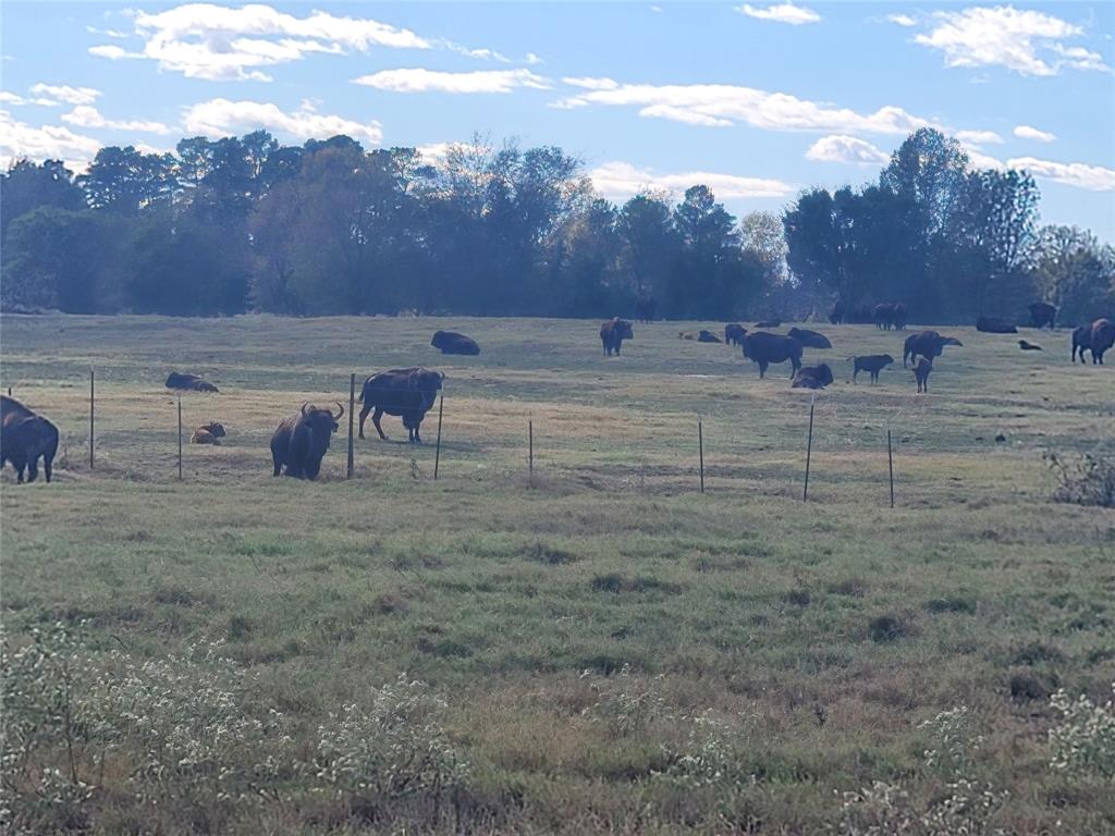 HARRISON COUNTY SC HOOL LAND,TRACT 1 - Farm