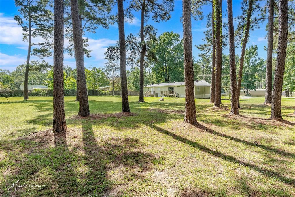 264 Lesa Lane