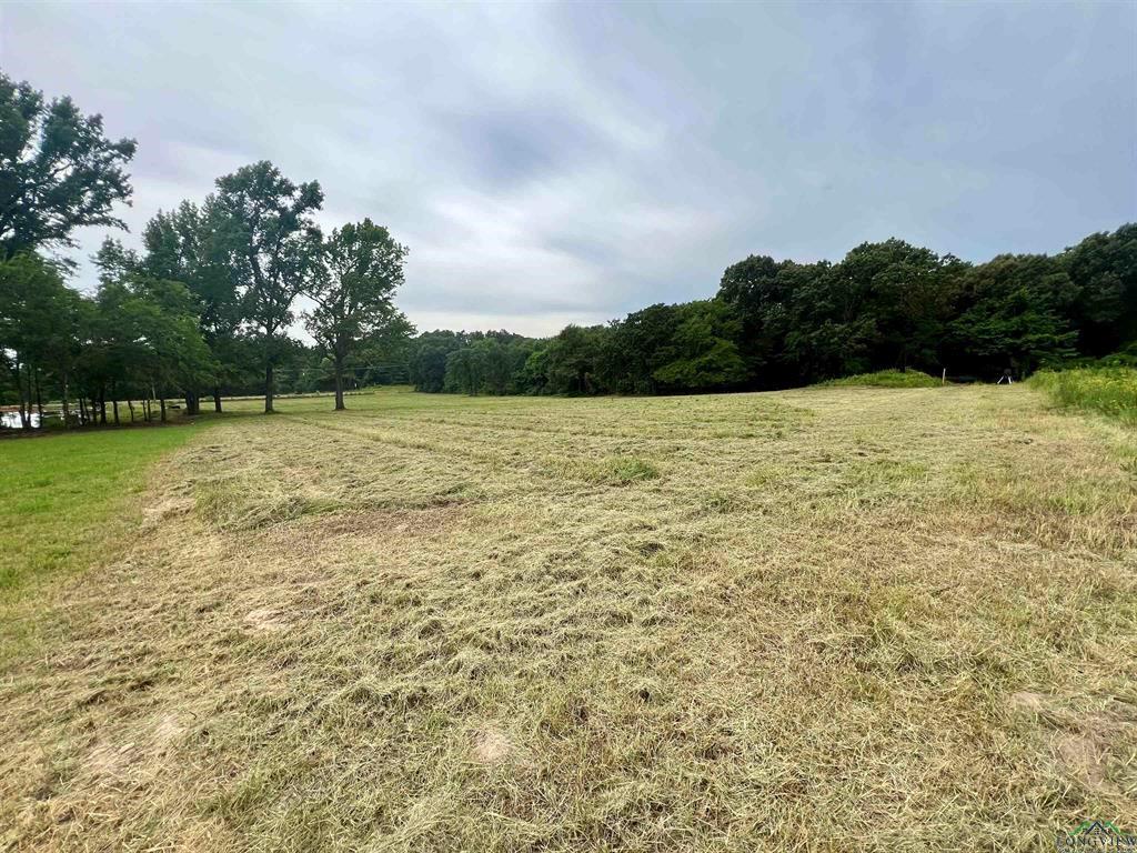 WEST FITZGERALD - Land