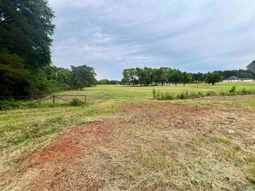 WEST FITZGERALD - Land