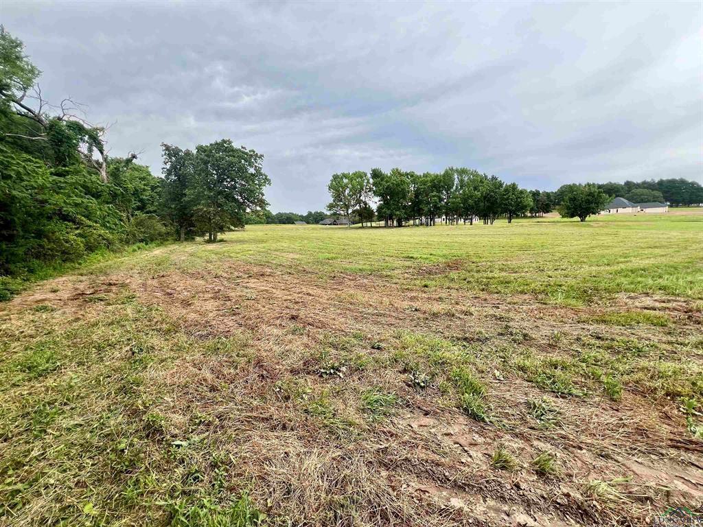 WEST FITZGERALD - Land