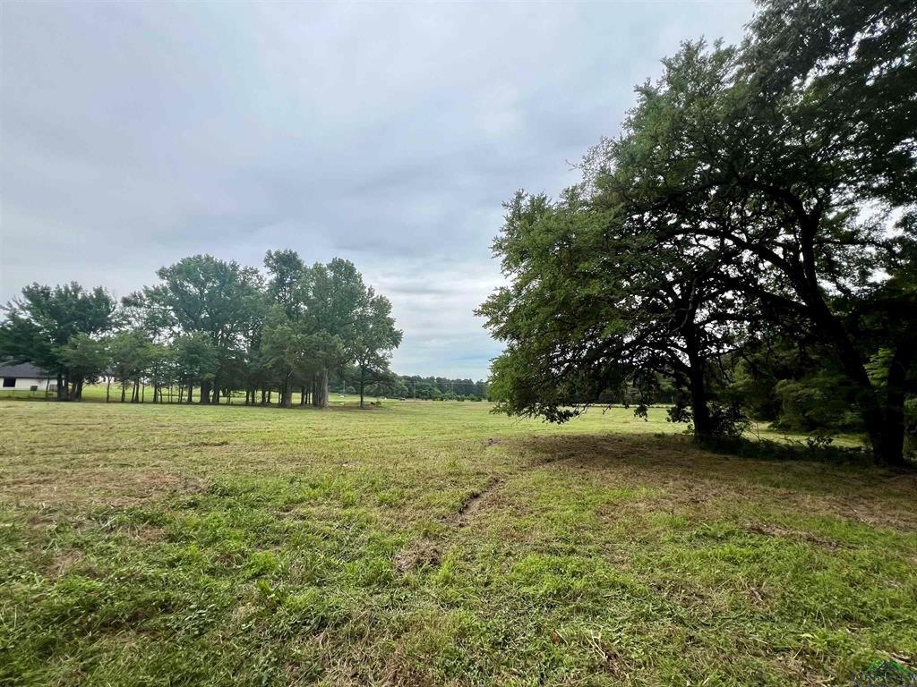 WEST FITZGERALD - Land