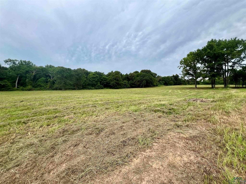 WEST FITZGERALD - Land