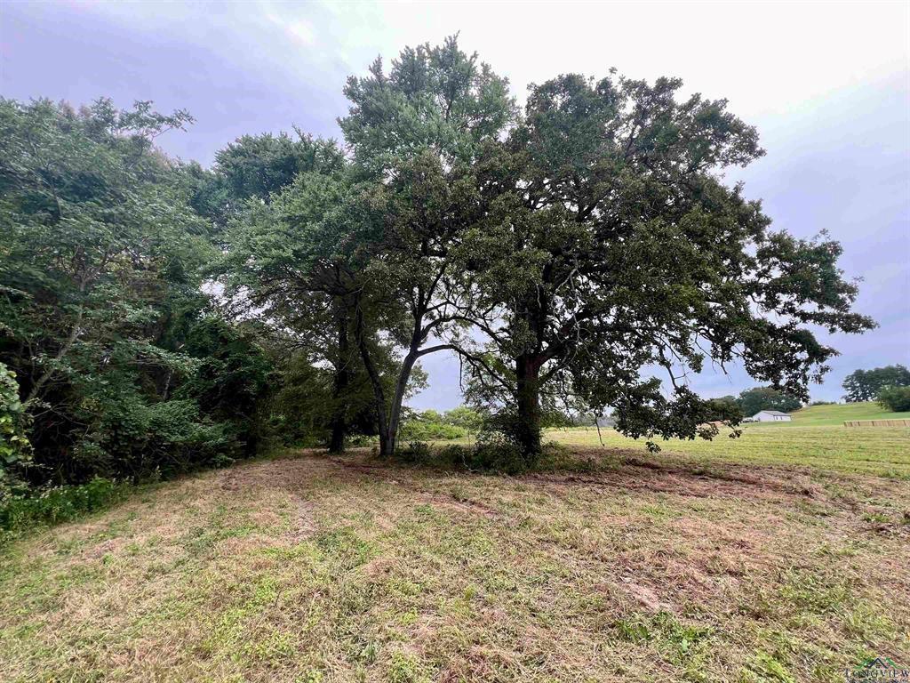 WEST FITZGERALD - Land